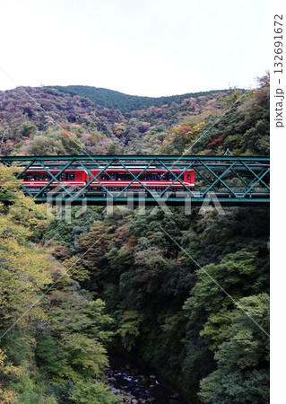 日本最古の鉄道橋・早川橋梁を渡る箱根登山電車 日本最古の鉄道橋・早川橋梁を渡る箱根登山電車 132691672