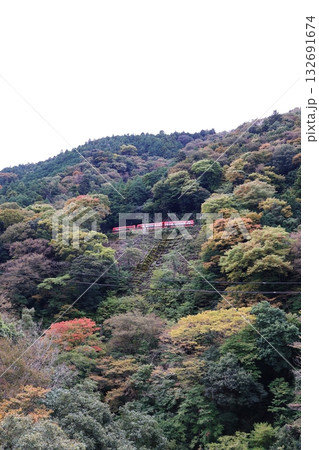 スイッチバックで列車がすれ違う箱根登山電車の出山信号場 スイッチバックで列車がすれ違う箱根登山電車の出山信号場 132691674