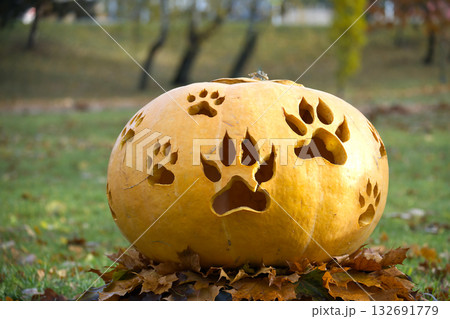 Carved pumpkin with paw prints for Halloween decorations in the autumn Carved pumpkin with paw prints for Halloween decorations in the autumn 132691779