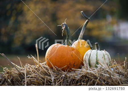Autumn harvest display featuring pumpkins and gourds on a hay bale Autumn harvest display featuring pumpkins and gourds on a hay bale 132691780