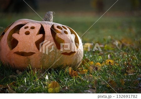Carved Pumpkin Jack-O-Lantern Resting on Grass Amid Autumn Leaves and Warm Light Carved Pumpkin Jack-O-Lantern Resting on Grass Amid Autumn Leaves and Warm Light 132691782
