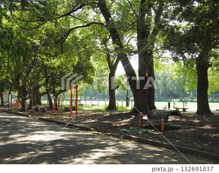 東京都立赤塚公園(板橋区) 東京都立赤塚公園(板橋区) 132691837