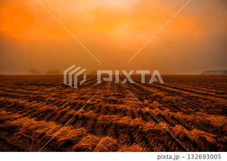 暖色の朝霧 132693005
