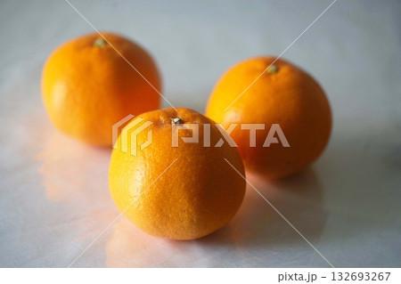 早春の果物　ミカンのはるみ 132693267