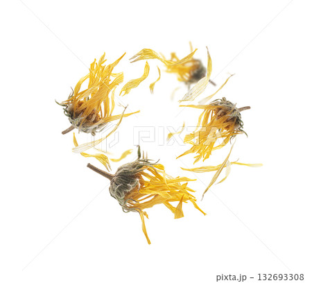 Dry dandelion flowers levitate on a white background Dry dandelion flowers levitate on a white background 132693308