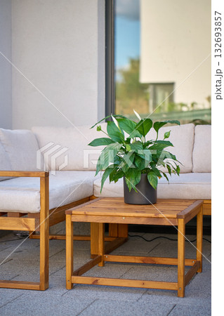 Green potted plant on wooden table on modern terrace 132693857