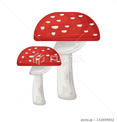 Illustration of mushroom  132694002