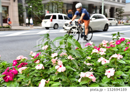 京橋の歩道に咲く紅い花と自転車 132694189