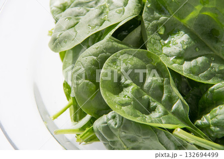 ベビースピナッチ ベビースピナッチ 132694499