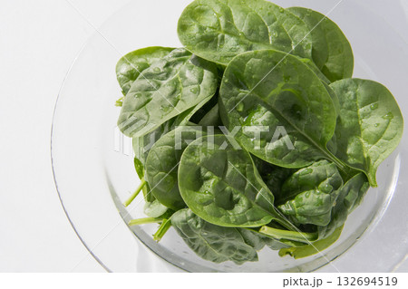 ベビースピナッチ 132694519