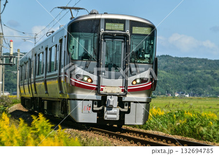 のどかな田園を走る七尾線の秋 132694785