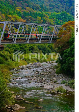 紅葉の渓谷を走る土讃線 132694845