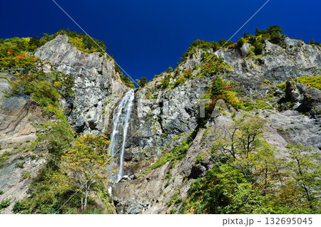 錦秋の白山白川郷ホワイトロード 132695045