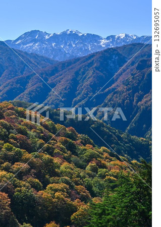 錦秋の白山白川郷ホワイトロード 錦秋の白山白川郷ホワイトロード 132695057