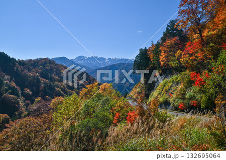 錦秋の白山白川郷ホワイトロード 錦秋の白山白川郷ホワイトロード 132695064