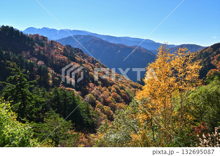 錦秋の白山白川郷ホワイトロード 錦秋の白山白川郷ホワイトロード 132695087