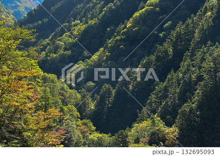 錦秋の白山白川郷ホワイトロード 132695093