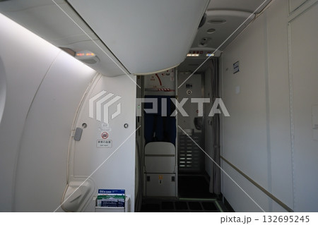 飛行機 飛行機 132695245