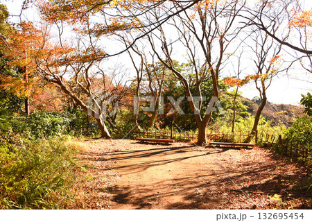 源氏山公園　ハイキングコース 132695454