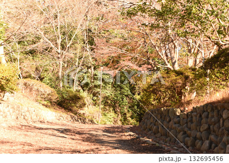 源氏山公園　ハイキングコース 132695456