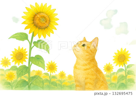 太陽の下でひまわりと猫 太陽の下でひまわりと猫 132695475