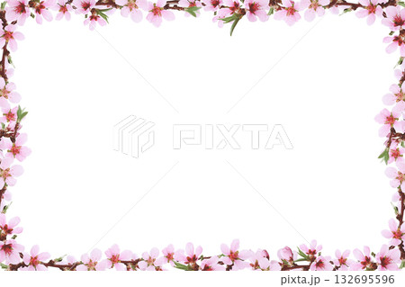 Spring peach twigs in a floral frame isolated on white 132695596