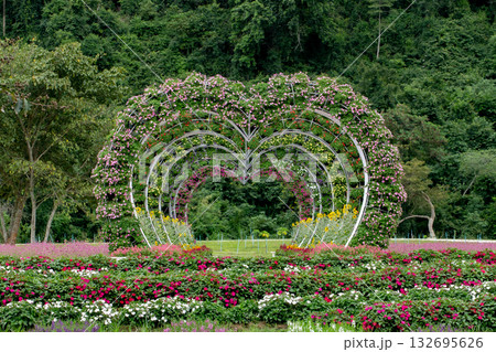 Agriculture, Color Image, Community Garden, Cultivated, Environment 132695626