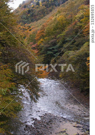 山梨県の西沢渓谷の紅葉 山梨県の西沢渓谷の紅葉 132695855