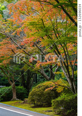 伊勢　神宮徴古館 132696034