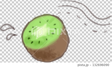Cute hand-drawn watercolor kiwi fruit Cute hand-drawn watercolor kiwi fruit 132696090