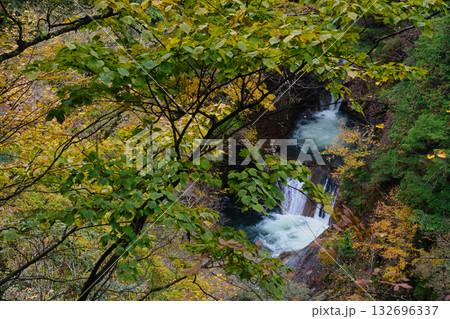 山梨県の西沢渓谷の紅葉 山梨県の西沢渓谷の紅葉 132696337