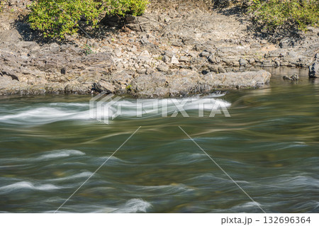 宇治川風景　京都府宇治市 132696364