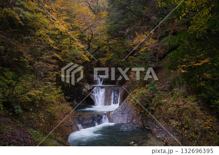 山梨県の西沢渓谷の紅葉 山梨県の西沢渓谷の紅葉 132696395