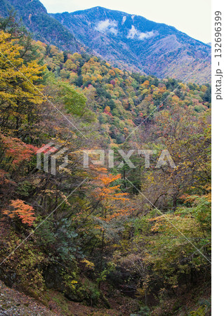 山梨県の西沢渓谷の紅葉 山梨県の西沢渓谷の紅葉 132696399