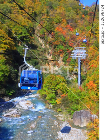 秋の苗場ドラゴンドラ（新潟県湯沢町・縦構図） 132696724