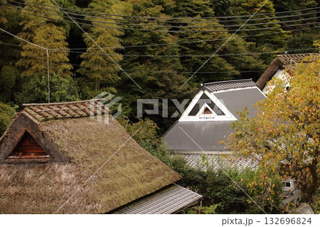 日本の秋の風景（京都・嵯峨野） 132696824