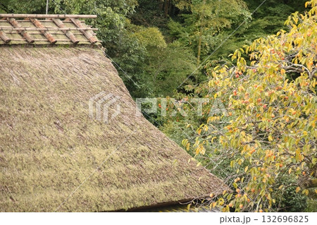 日本の秋の風景(京都・嵯峨野) 日本の秋の風景(京都・嵯峨野) 132696825