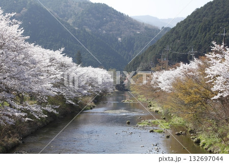 花尻の高野川沿いの桜と比叡山 花尻の高野川沿いの桜と比叡山 132697044