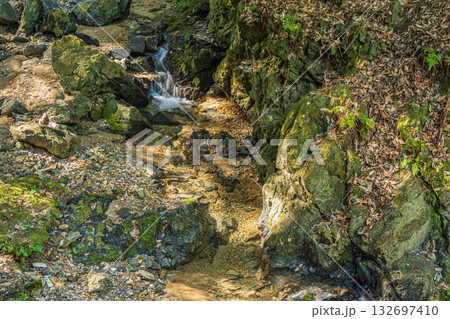 宇治川にそそぐ渓流　もみじ谷　京都府宇治市 132697410