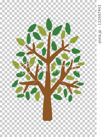 Hand drawn simple tree illustration Hand drawn simple tree illustration 132697443