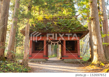 《長野県》戸隠・参道の杉並木 《長野県》戸隠・参道の杉並木 132697652
