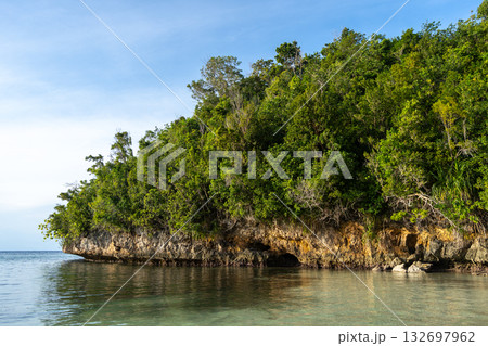 Lia beach bay, Waleakodi Island, Togian archipelago, Sulawesi, Indonesia 132697962
