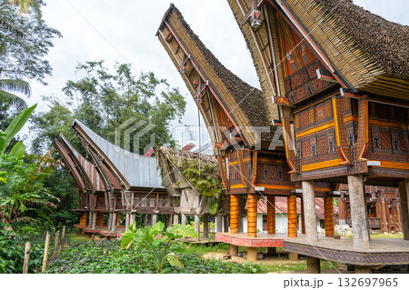 Traditional Toraja houses with buffalo horns, Sulawesi, Indonesia Traditional Toraja houses with buffalo horns, Sulawesi, Indonesia 132697965