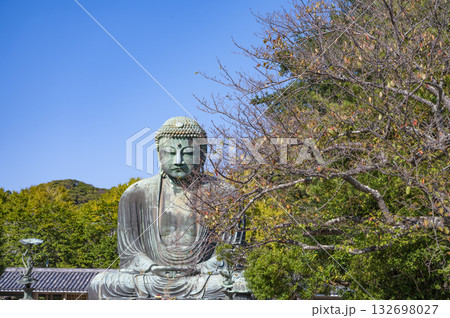 爽やかな青空と鎌倉の大仏 132698027