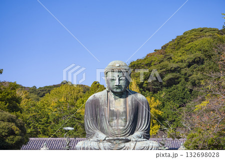 爽やかな青空と鎌倉の大仏 132698028