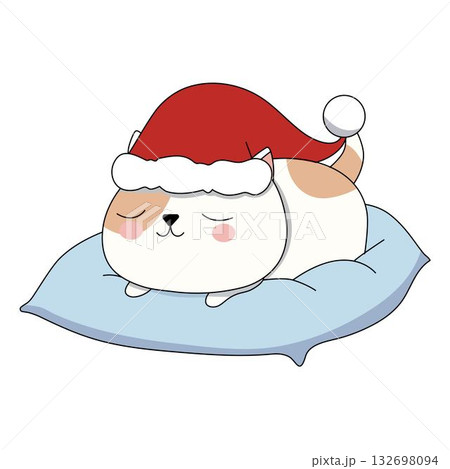Cute cat sleeping in a christmas hat on a pillow. Cute cat sleeping in a christmas hat on a pillow. 132698094