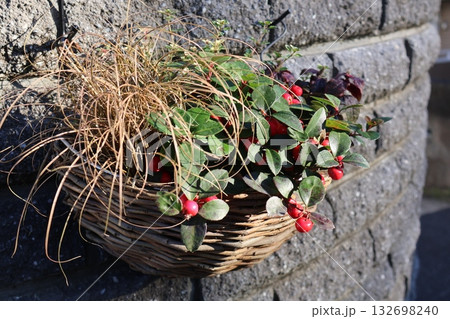 チェッカーベリーの寄せ植えハンギング 132698240