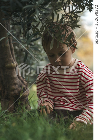 Child boy Under Olive Tree. Childhood in Nature 132698272