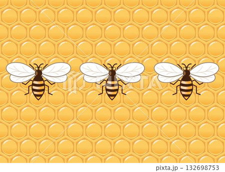 Three honey bees on a honeycomb background. Honeycomb is a structure of hexagonal wax cells built by honey bees to store honey and pollen, and to raise their young bees. Three honey bees on a honeycomb background. Honeycomb is a structure of hexagonal wax cells built by honey bees to store honey and pollen, and to raise their young bees. 132698753