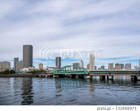 遊歩道化された旧晴海鉄道橋の廃線跡風景 132698973